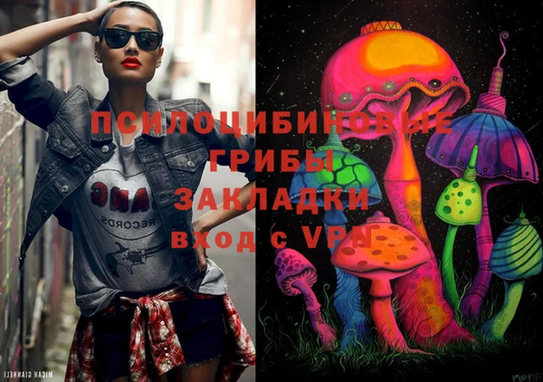 дживик Абинск