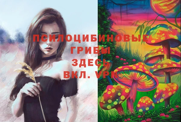 соль курить ск Алексеевка